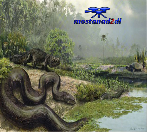 دانلود The World's Largest Snake 2009 - مستند بزرگترین مار جهان